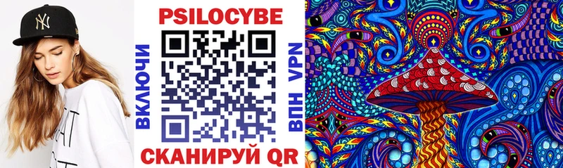 блэк спрут tor  где можно купить наркотик  Шацк  Галлюциногенные грибы Magic Shrooms 