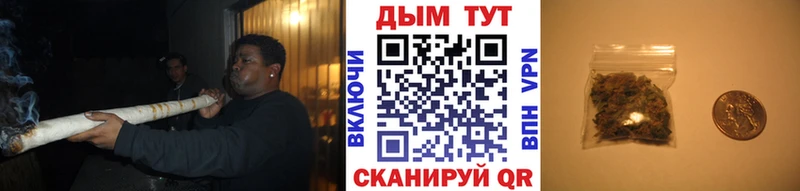 продажа наркотиков  Шацк  Шишки марихуана сатива 